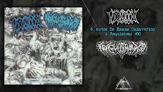 Vômito  Traqueomalácia  split CD FULL ALBUM 2022  Goregrind [upl. by Klehm]