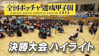 全国ボッチャ選抜甲子園 決勝大会ハイライト2024年8月10日 [upl. by Nylarat]