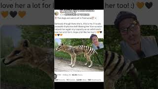 Thylacine photos debunked [upl. by Vashtia]