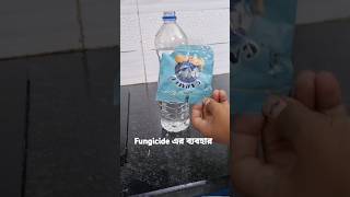 কি ভাবে ব্যবহার করবেন Fungicide gardening tips bangla ytshort trending viralshorts [upl. by Norene300]