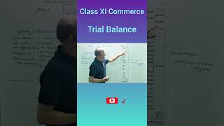 Trial Balance 🔥  Easy Explanation  Class XI  202425  CBSE  accountancy [upl. by Akerdnahs178]