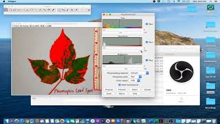 ImageJ Tutorial 1  Measure Leaf Disease Area amp Lesion Counts [upl. by Uos]