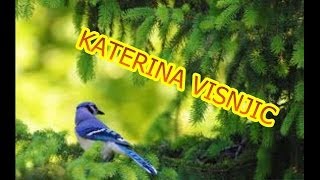 SVE PTICICE  ALL BIRDS  ZAPEVALE  Dr Sci KATERINA VISNJIC [upl. by Adiaros]