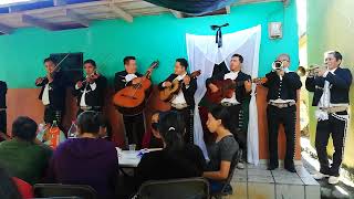 El rey 🎵 Mariachi Hidalguense Coacuilco hgo 🎺🎻🎸🎼 amenizado en Talol Orizatlán hgo 🌎 14012021 [upl. by Hayidah]