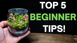 Terrariums For Beginners  5 EASY Tips To Get You Started [upl. by Revolc]