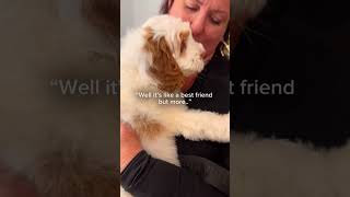 Meeting Australian labradoodle puppy with his forever family✨🧡 breeder dog labradoodles [upl. by Illib]