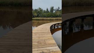 Wetland Park hongkong [upl. by Ansel]