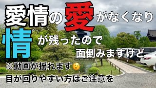 【アラ還夫婦】何でも人任せ夫は入院、妻は京都観光3泊4日 [upl. by Surdna]