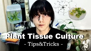 Plant Micropropagation 101  TipsampTricks [upl. by Byler]