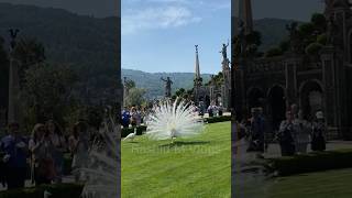 Isola bella lago Maggiore shortsfeed [upl. by Ahseuqal889]