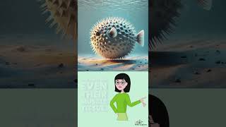 Fact about Pufferfish [upl. by Annait]