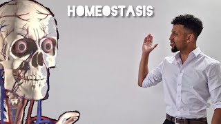 Science Raps GCSE Biology  Homeostasis [upl. by Calli]