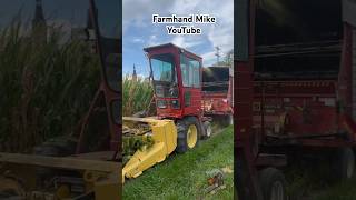 New Holland 1880 Self Propelled Forage Harvester chopping corn silage silageseason [upl. by Nihahs]