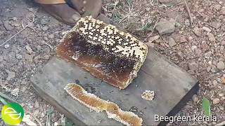 howto Honeybees setup in januvary supper ada kettal part 3theneecha krishi [upl. by Wilsey]