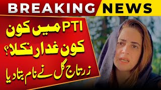 Constitutional Amendments  PTI Mein Kon Kon Ghaddar Nikla  Zartaj Gul Nay Name Bata Diya [upl. by Anyek]