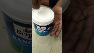 Berger Paints Making Of Sunny Heart And Boys Room Blue paint painting trending viralshorts [upl. by Davies]