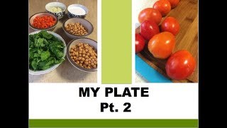 My Plate Pt 2 [upl. by Nevins]