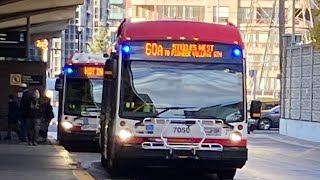 TTC 2023 NovaBus LFS HEV [upl. by Joyan748]