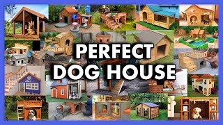 Ideas For a Perfect DogHouse [upl. by Alyahs229]