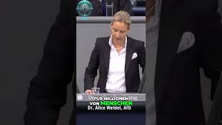 🚫 Alice Weidel Warum Ausgangssperren die falsche Lösung sind 😱🔒🇩🇪 [upl. by Etiam930]