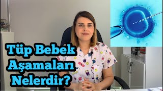 🔬 Tüp Bebek Aşamaları Nelerdir  Tüp Bebek Nasıl Yapılır  Op Dr Funda Yazıcı Erol [upl. by Eiger211]