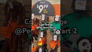 Code orange petsmart part 2 shorts halloween pets petlover petsmart petlovers cute toys [upl. by Sesylu]