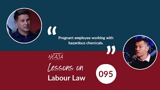 Lessons On Labour Law  Episode 095 [upl. by Itnuahsa]