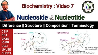 What is Nucleotide  What is Nucleoside  Difference between Nucleotide amp Nucleoside  CSIR DBT [upl. by Hulen]