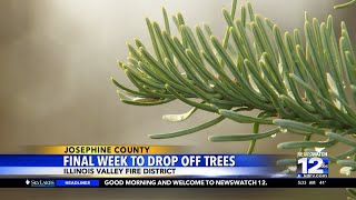 Final week to drop off trees [upl. by Pip]