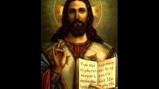 St Basil Liturgy including Gospel  Coptic Orthodox  Fr Antonious Tanious  English [upl. by Adore]