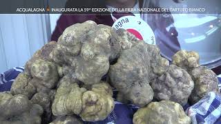 Roto TVRS Acqualagna Inaugurata la 59ma edizione della Fiera del tartufo bianco [upl. by Eerazed]