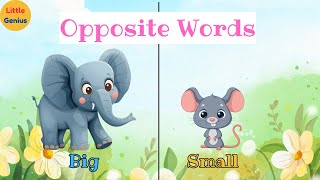 Opposite Words For kids  Little Genius [upl. by Anifesoj989]