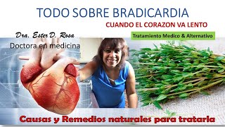 TODO SOBRE BRADICARDIA CAUSA ALIMENTACION TRATAMIENTO MEDICO Y ALTERNATIVOS REMEDIOS NATURALES [upl. by Svetlana]