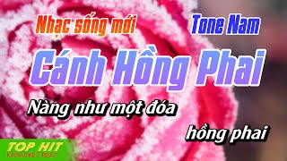 Cánh Hồng Phai Karaoke Tone Nam  Nhạc Sống Mới Dễ Hát TOP HIT KARAOKE [upl. by Aivata155]