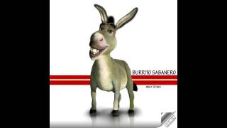 Burrito Sabanero JMAX 2011 Remix [upl. by Lennie756]