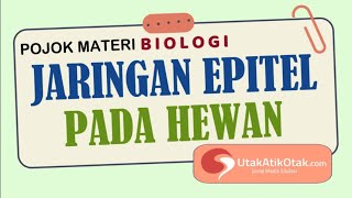 Jaringan Epitel Pada Hewan  MATERI BIOLOGI [upl. by Crichton]