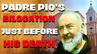 The Legendary Bilocation Of Padre Pio amp Padre Domenico Da Cese [upl. by Aihsram]