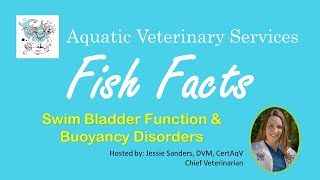 Fish Facts  Swim Bladder Function amp Buoyancy Disorders [upl. by Pyotr]