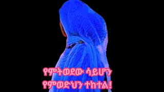 የምትወደውን ሳይሆን የምወድህን ተከተል🌿 [upl. by Marchak]