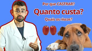 CASTRAÇÃO de machos  Dica Veterinária 18 [upl. by Ostraw]