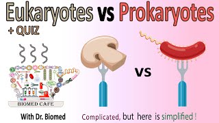 Eukaryotes vs Prokaryotes [upl. by Naarah]