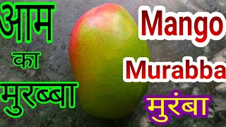 मुरंबा  MANGO MORAMBA  INSTANT RECIPE  AAM KA MURABBA RECIPE  SUMMER SPECIAL RECIPES [upl. by Herbie]