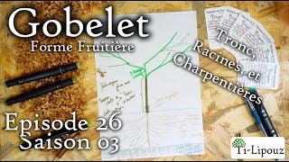 Le Gobelet Fruitier  Partie 2  Tronc Racines et Charpentières [upl. by Nelehyram42]