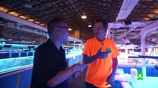 Talking corals with Chris Meckley ACI Aquaculture Part 3 [upl. by Leraj]