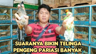 SUARANYA BIKIN TELINGA PENGENG PARIASI BANYAK [upl. by Ayahsal]