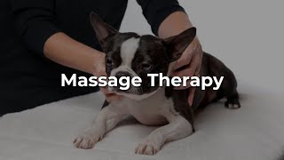 Massage Therapy A Rehabilitation Technique for your Dog [upl. by Donetta248]