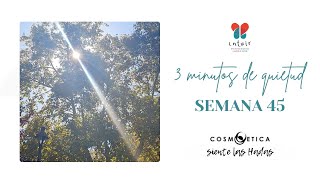 Semana 45 – 3 Minutos de Quietud en Sol y dar [upl. by Akcire]