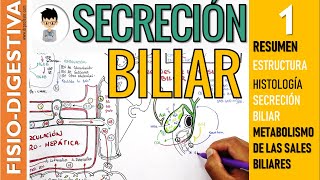 FISIOLOGIA DE LA SECRECIÓN BILIAR formación de las SALES BILIARES RESUMEN estructura BILIS  1 [upl. by Arly462]