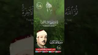 تلاوةصوتجميلعذب القرآنالكريم دارالقرآن اكسبلور duet daralkoran راحةنفسية دويتو [upl. by Ferguson376]