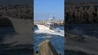 Miss Tres Rides A Wave In The Manasquan Inlet [upl. by Olmsted489]